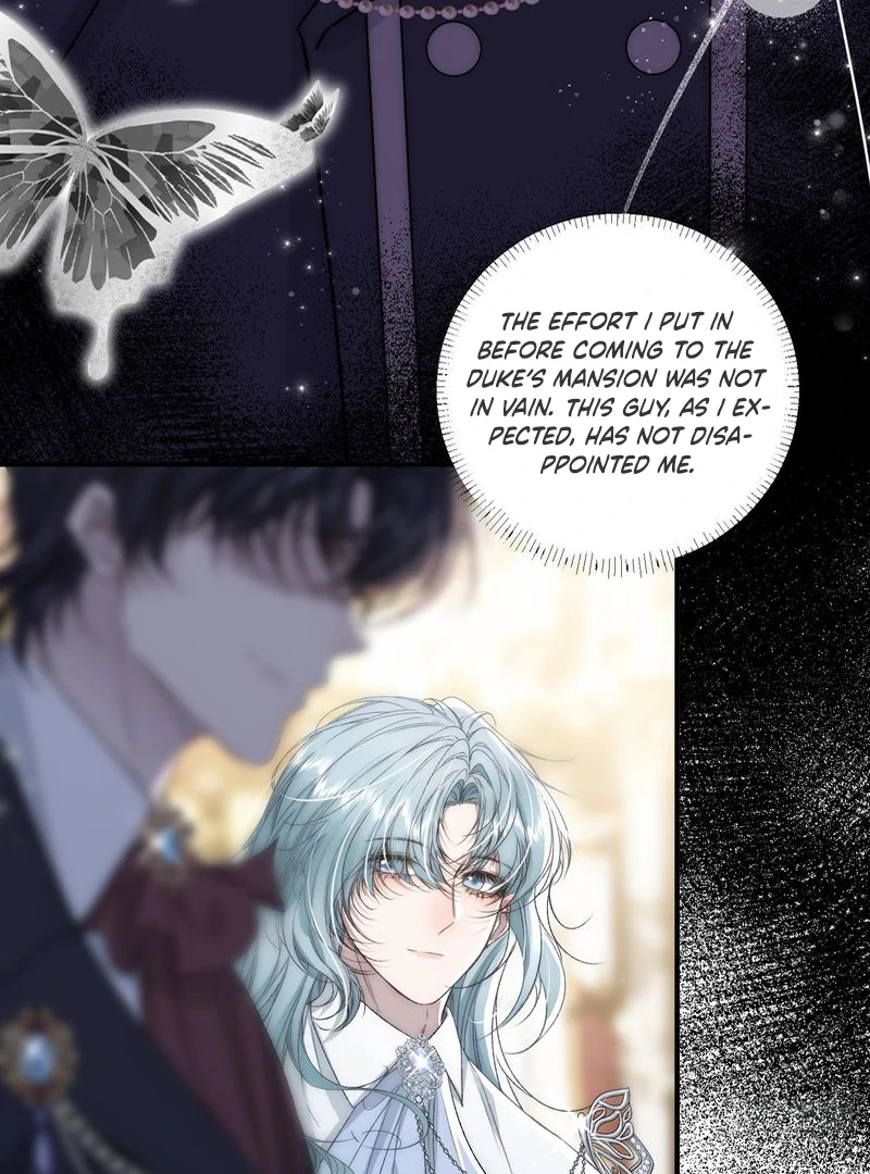 perfect accomplices - Chapter 5 manhwa