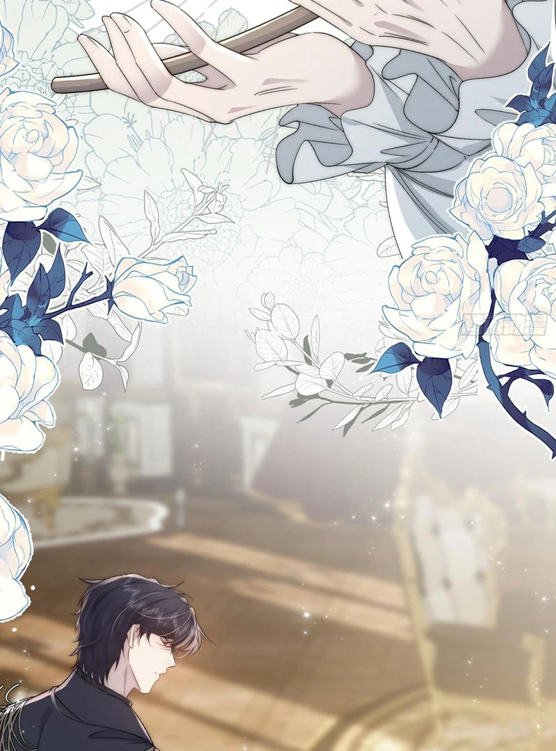 perfect accomplices - Chapter 5 manhwa
