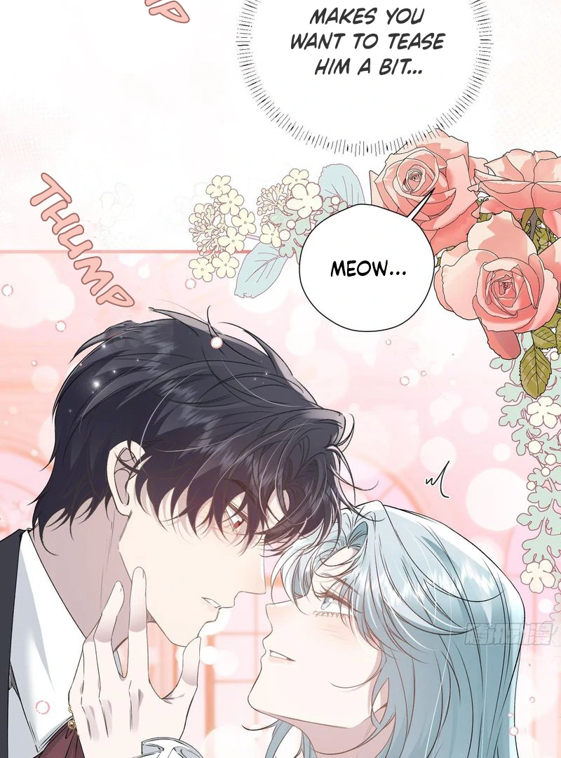 perfect accomplices - Chapter 7 manhwa