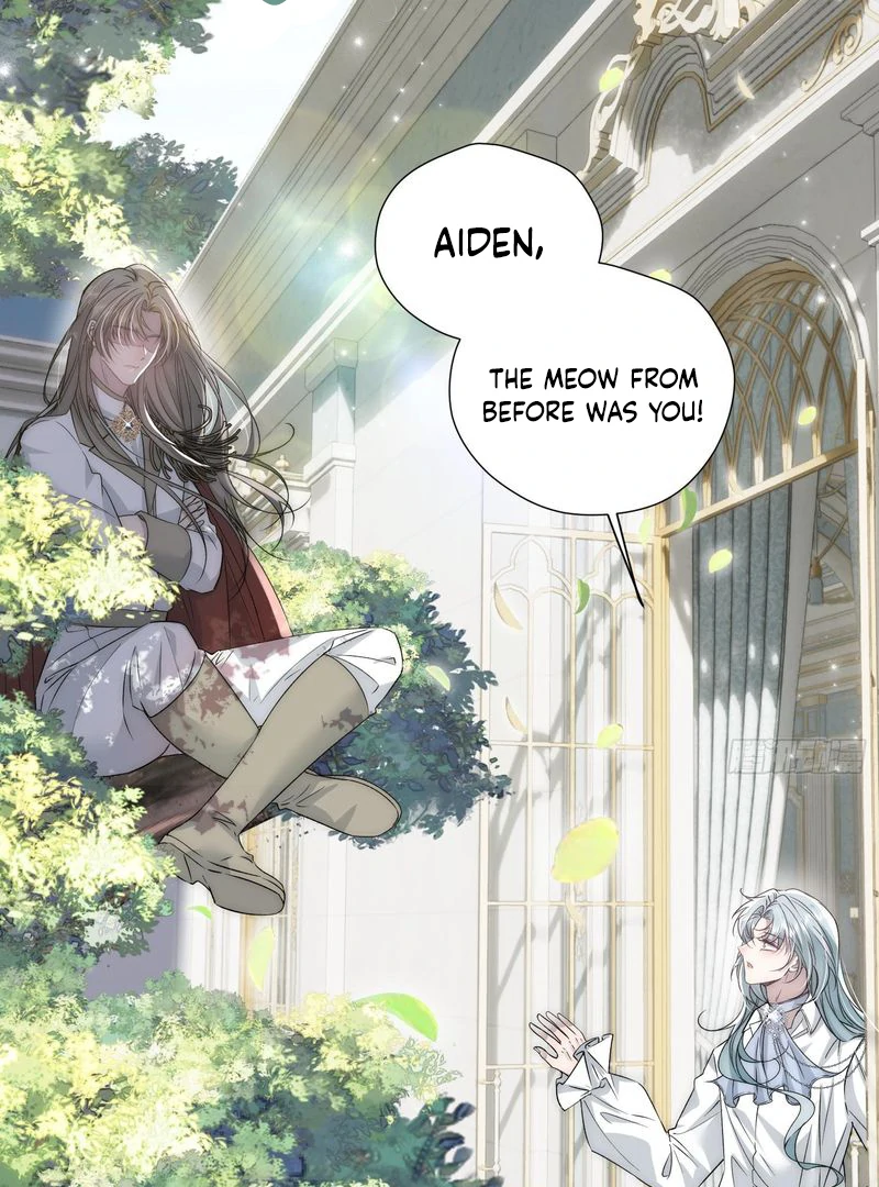 perfect accomplices - Chapter 7 manhwa