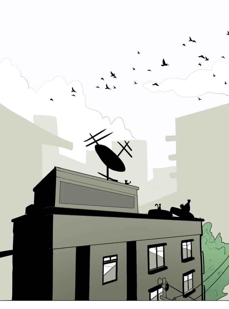 A STAR FROM ABOVE - A new tenant (1) part 1 manhwa