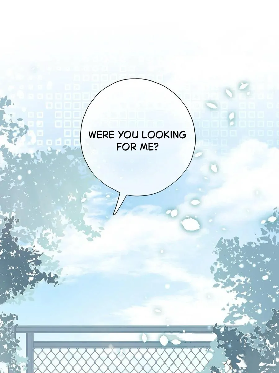 They Are Gentle Yet Violent - Chapter 12 manhwa