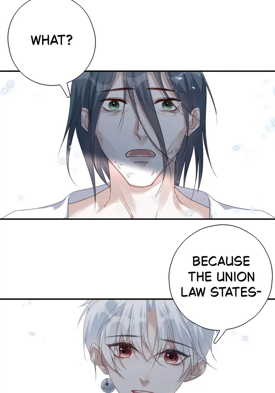 They Are Gentle Yet Violent - Chapter 15 manhwa
