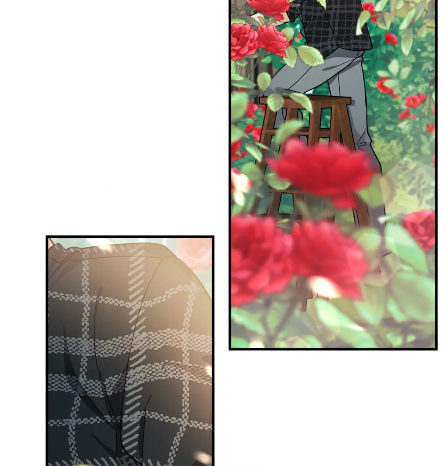 The Aloof Rose Gardener [Official] - Chapter 1 manhwa