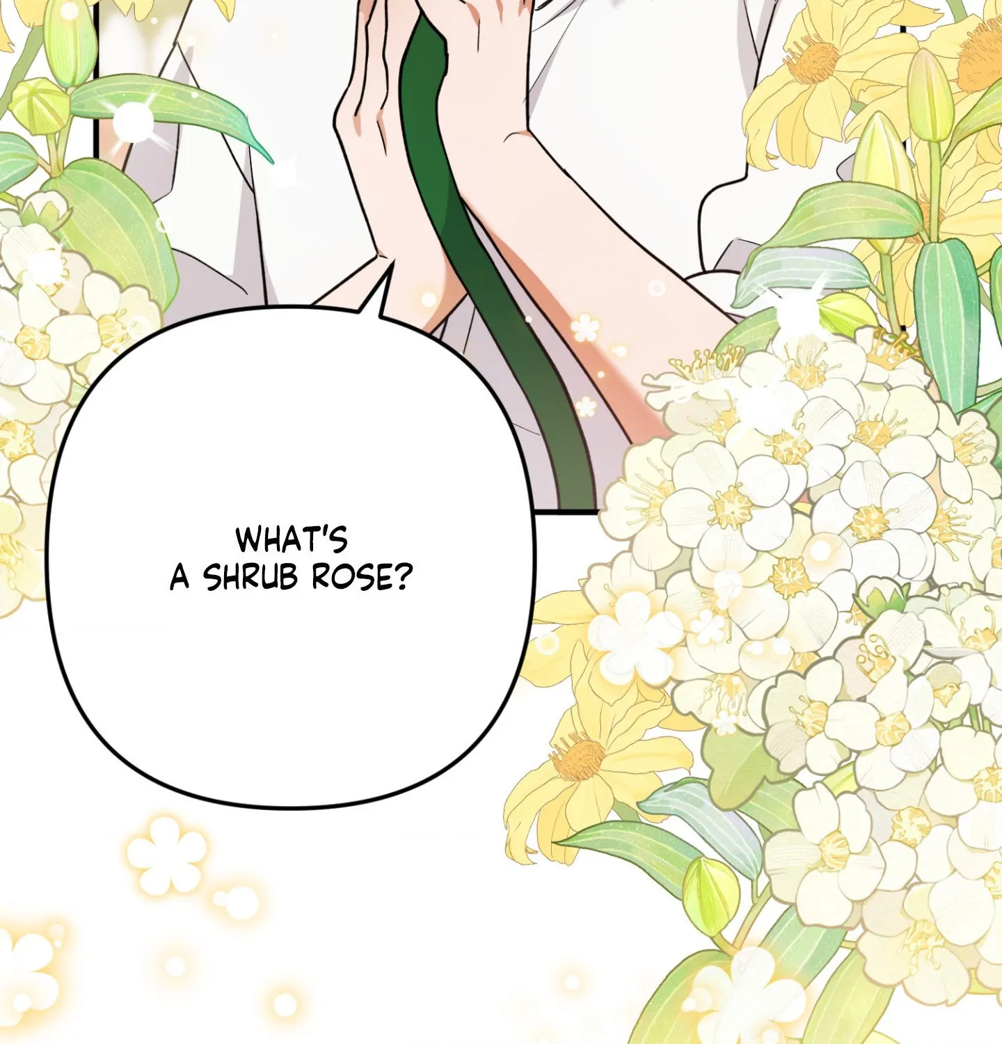 The Aloof Rose Gardener [Official] - Chapter 8 manhwa