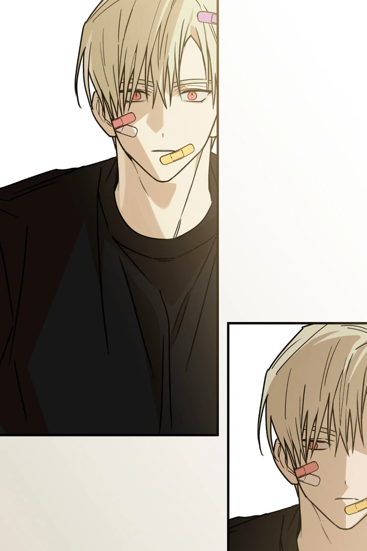 Family Relations Certificate [Kaizen Scan] - Chapter 3 manhwa