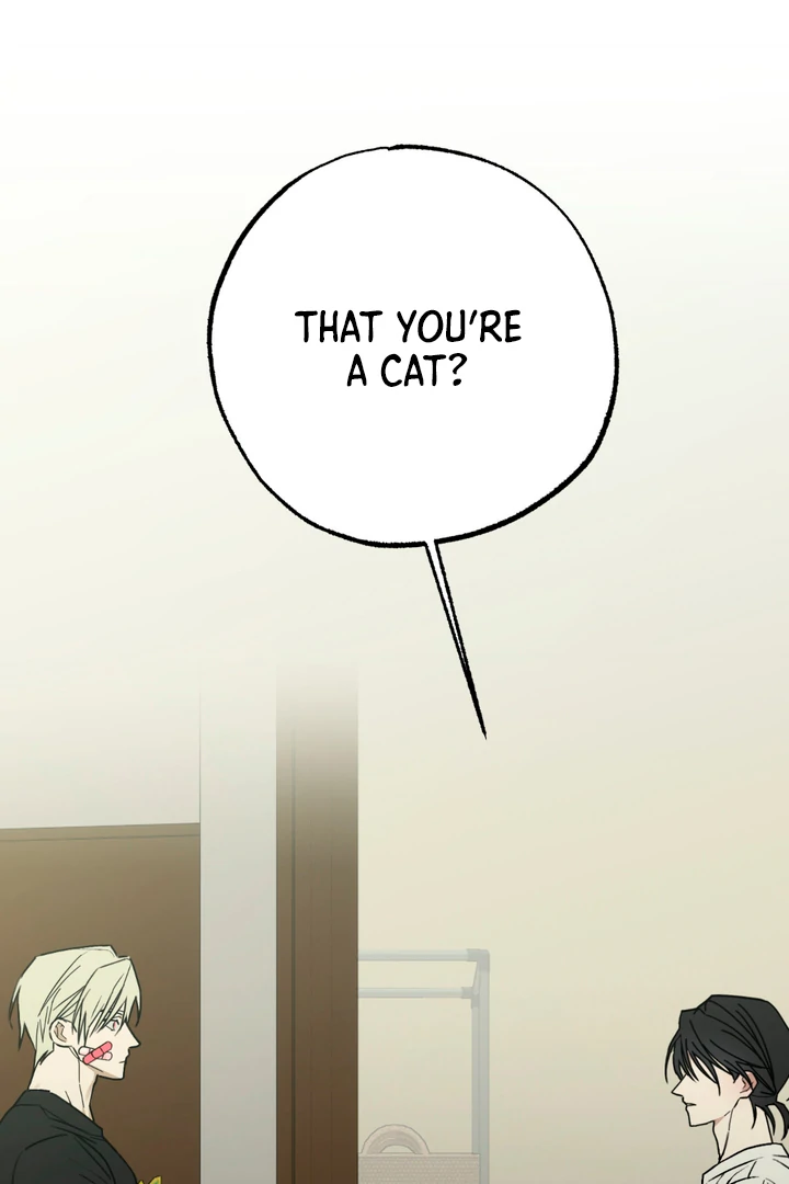 Family Relations Certificate [Kaizen Scan] - Chapter 3 manhwa