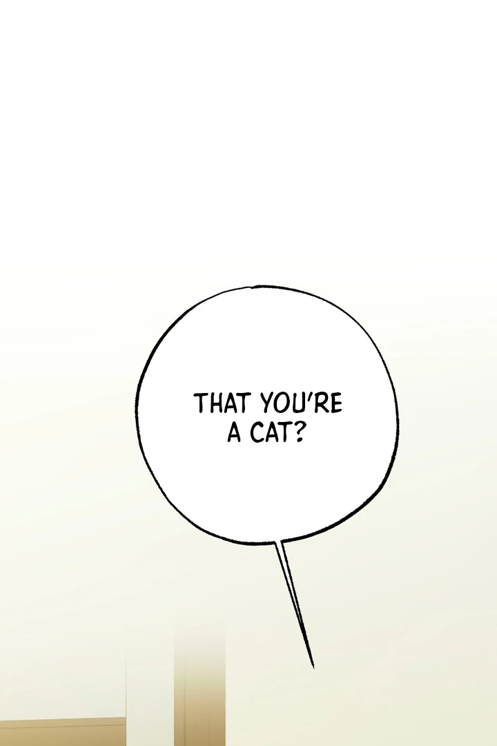 Family Relations Certificate [Kaizen Scan] - Chapter 4 manhwa