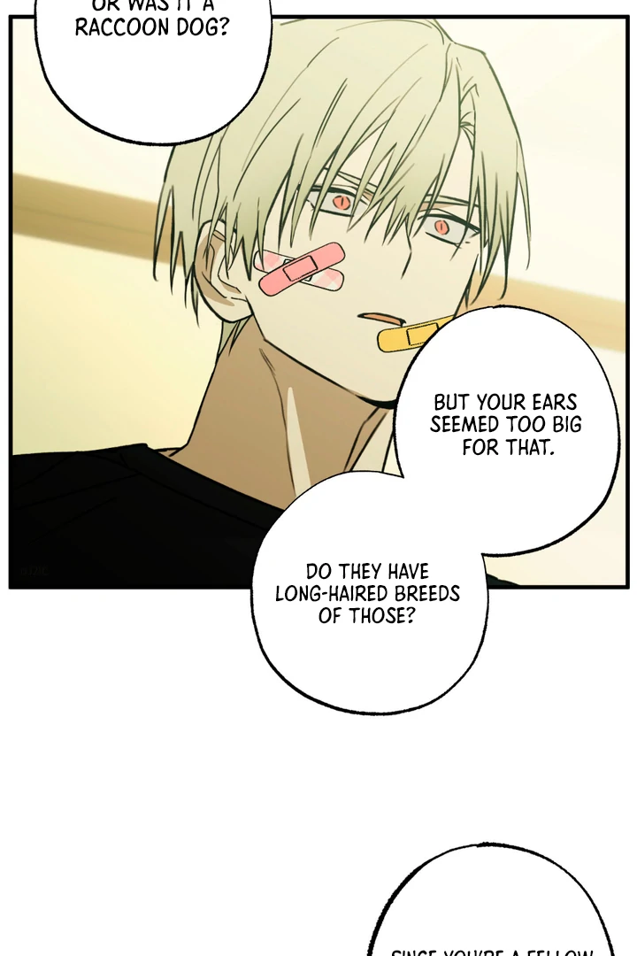 Family Relations Certificate [Kaizen Scan] - Chapter 4 manhwa