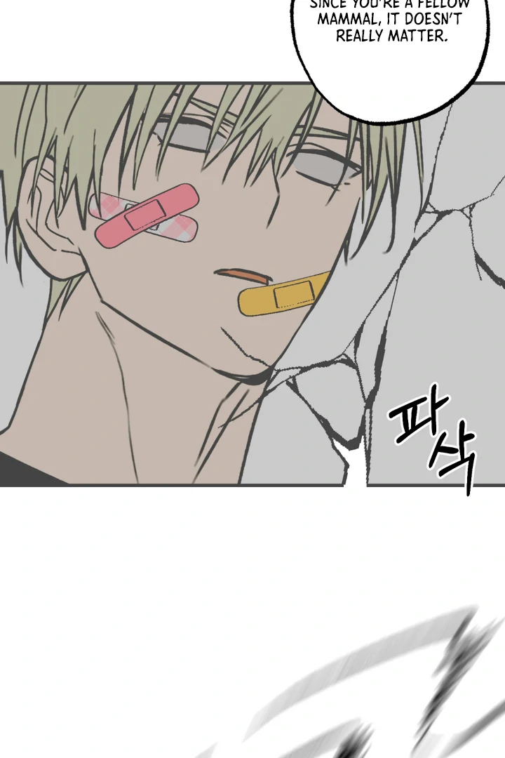Family Relations Certificate [Kaizen Scan] - Chapter 4 manhwa