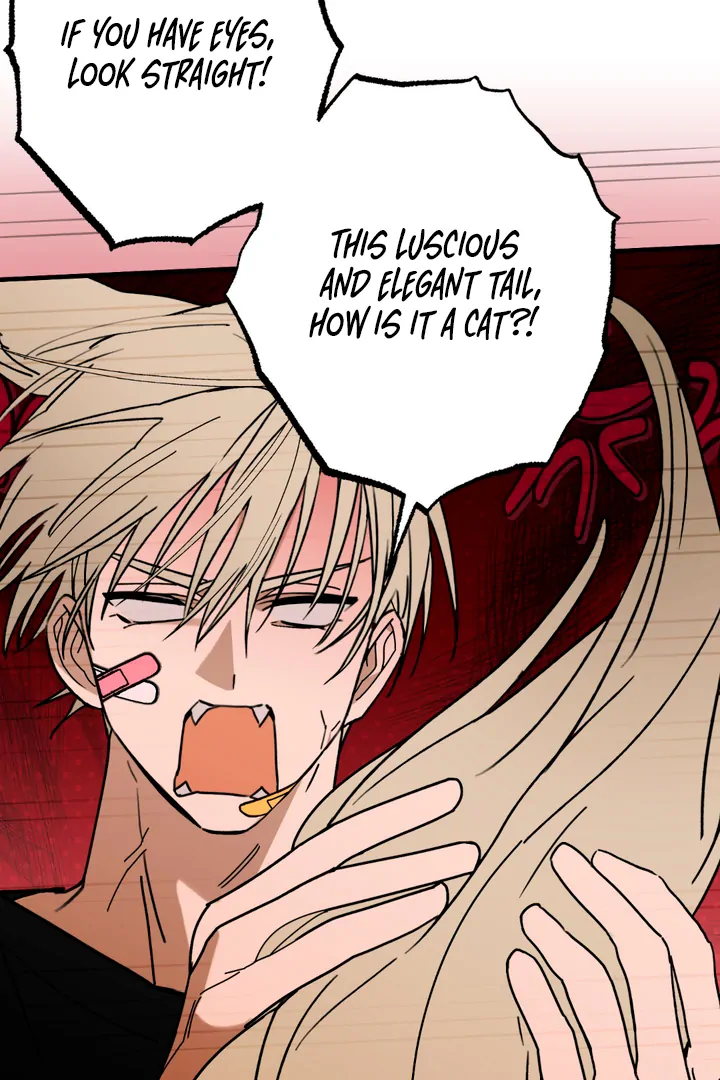 Family Relations Certificate [Kaizen Scan] - Chapter 4 manhwa