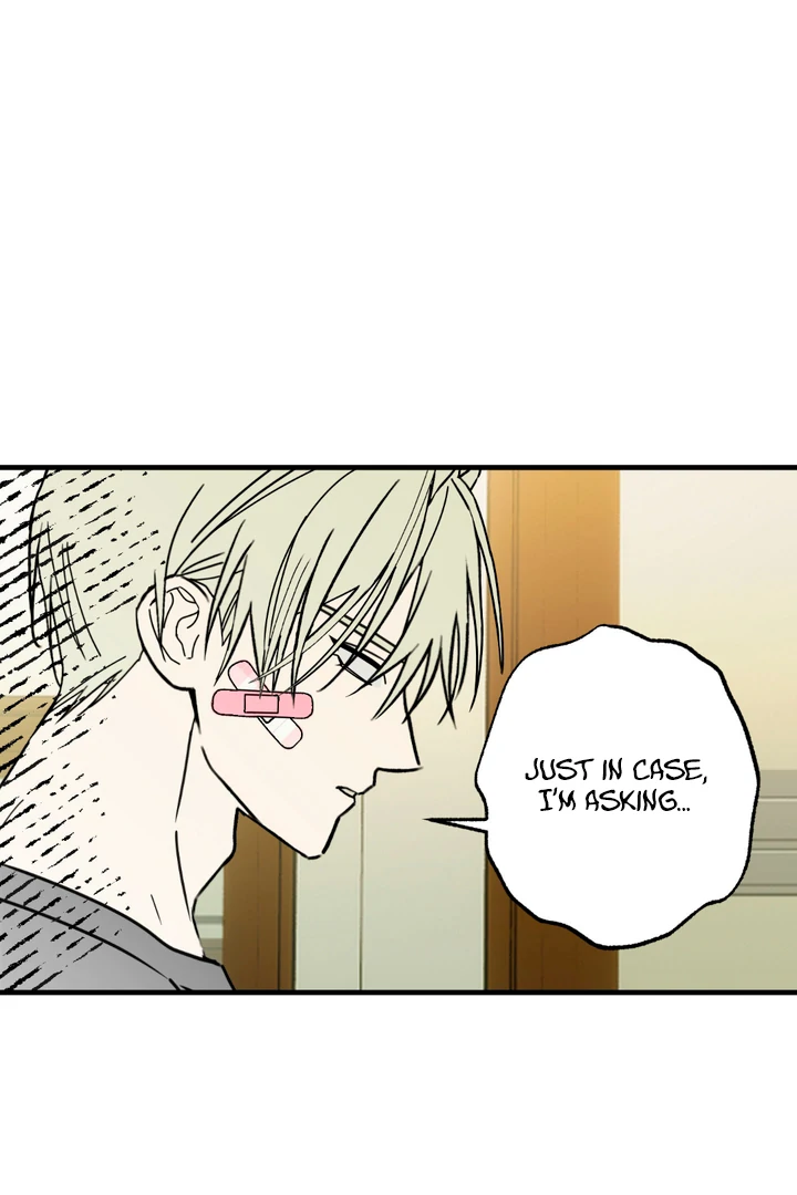 Family Relations Certificate [Kaizen Scan] - Chapter 4 manhwa