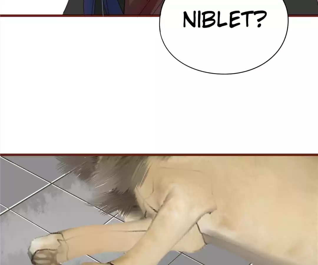 Supporting Actor’s Survival Game (Official) - Chapter 58 manhwa
