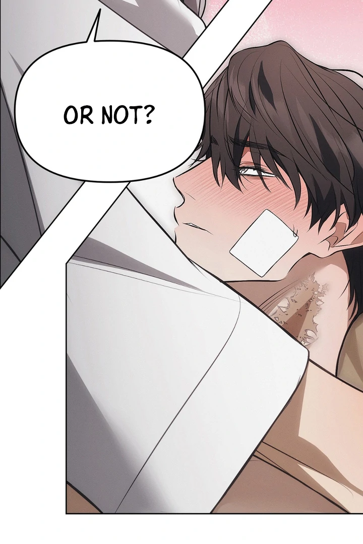 Mouse Trap [Kaizen Scan] - Chapter 5 🔞🔞 manhwa