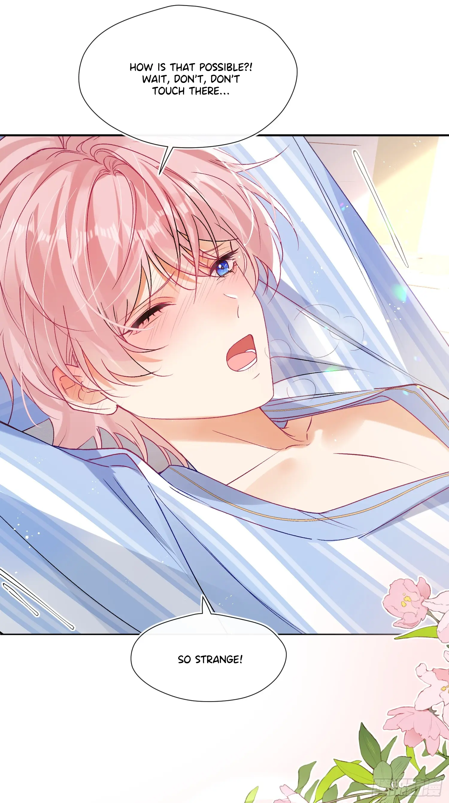 The Whole Universe Wants to Cuddle Me - Chapter 1 manhwa