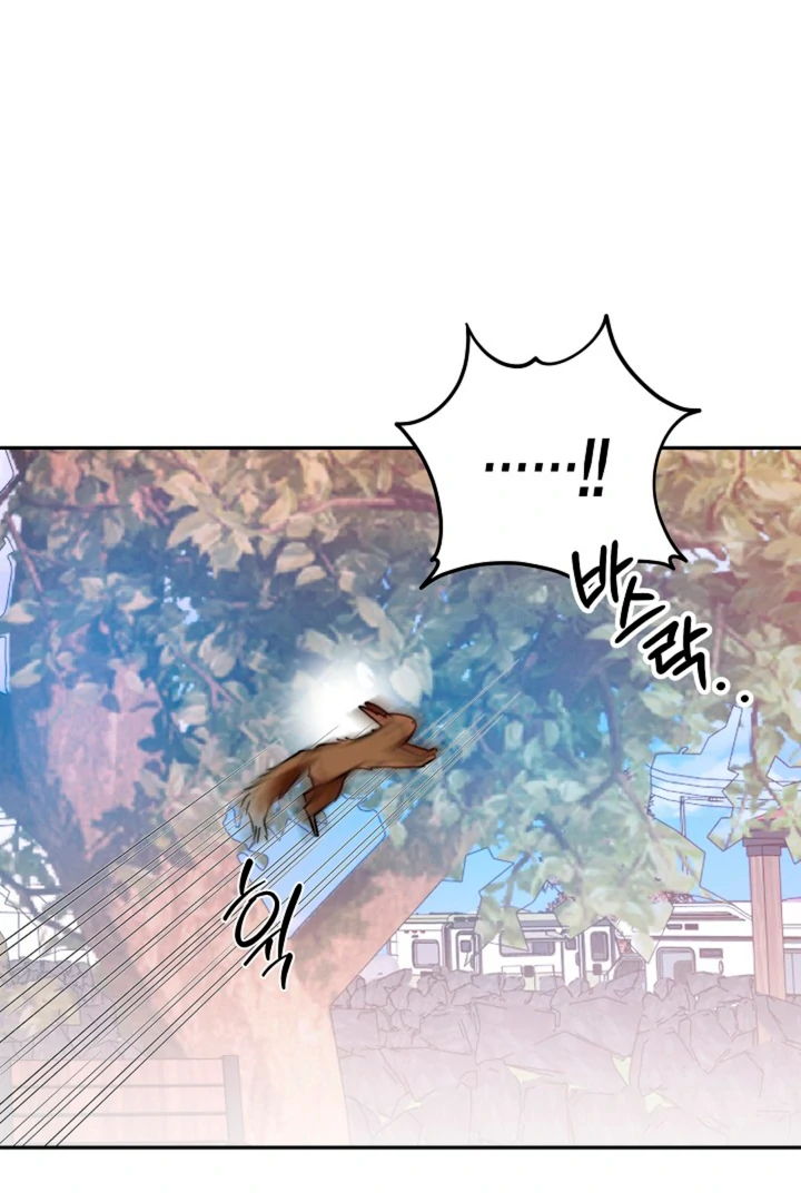 Ruddy Cheeks [Kaizen Scan] - Chapter 4 manhwa