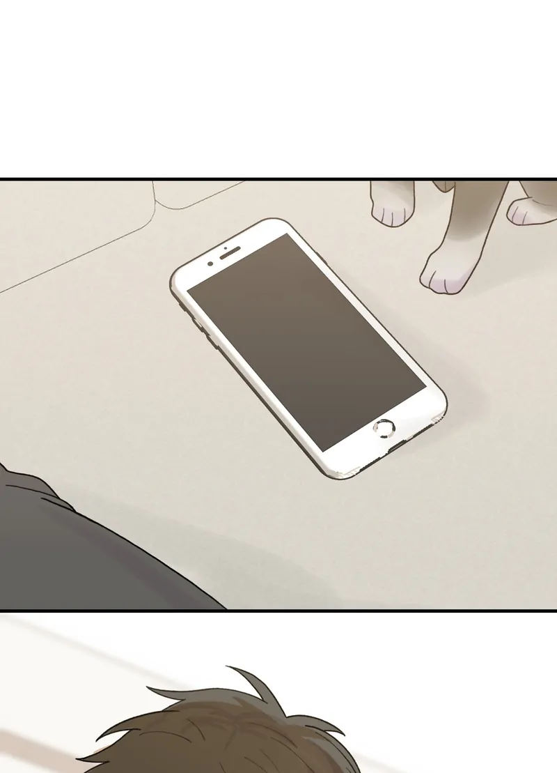 Pavlov’s Dog (Official) - 47 - Who Did It? - (Last Published Chapter) manhwa