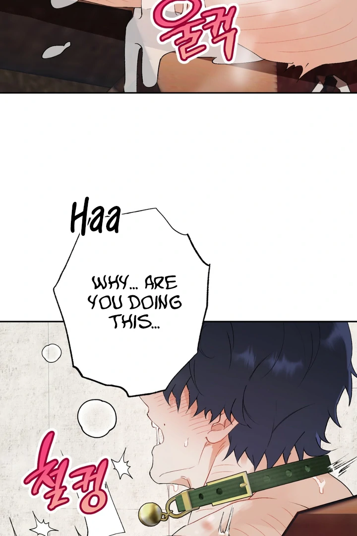 Holy and Cruel [Kaizen Scan] - Chapter 1 🔞🔞 manhwa