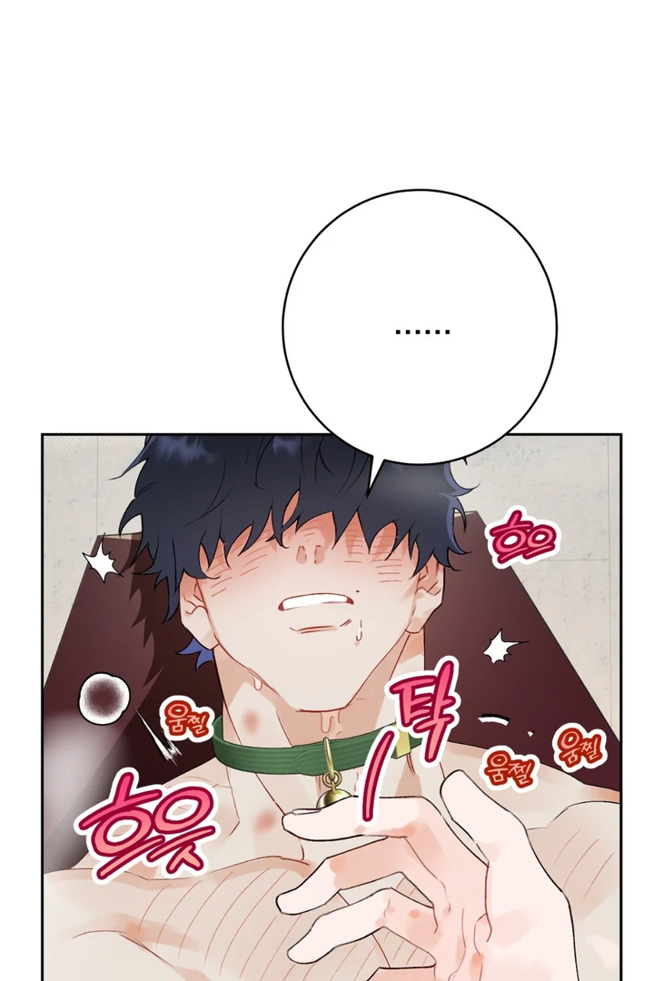 Holy and Cruel [Kaizen Scan] - Chapter 1 🔞🔞 manhwa