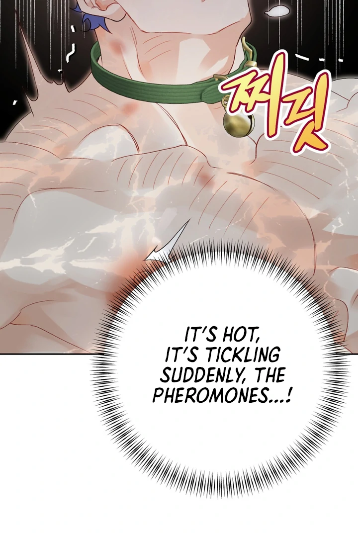 Holy and Cruel [Kaizen Scan] - Chapter 1 🔞🔞 manhwa