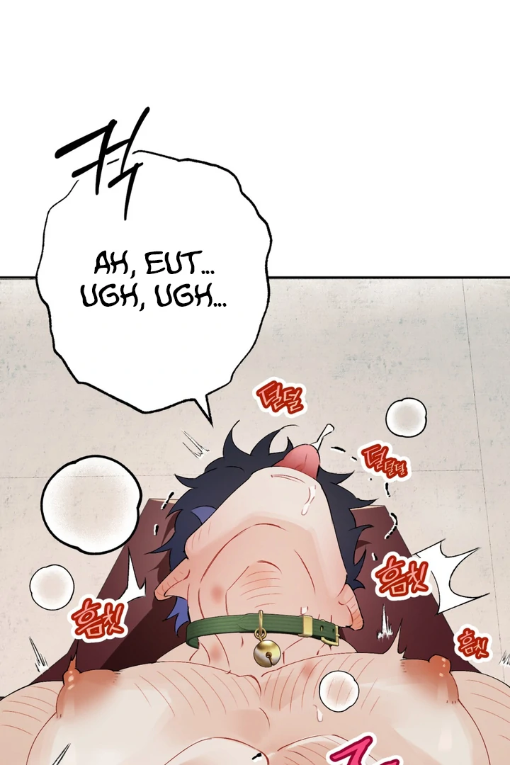 Holy and Cruel [Kaizen Scan] - Chapter 1 🔞🔞 manhwa