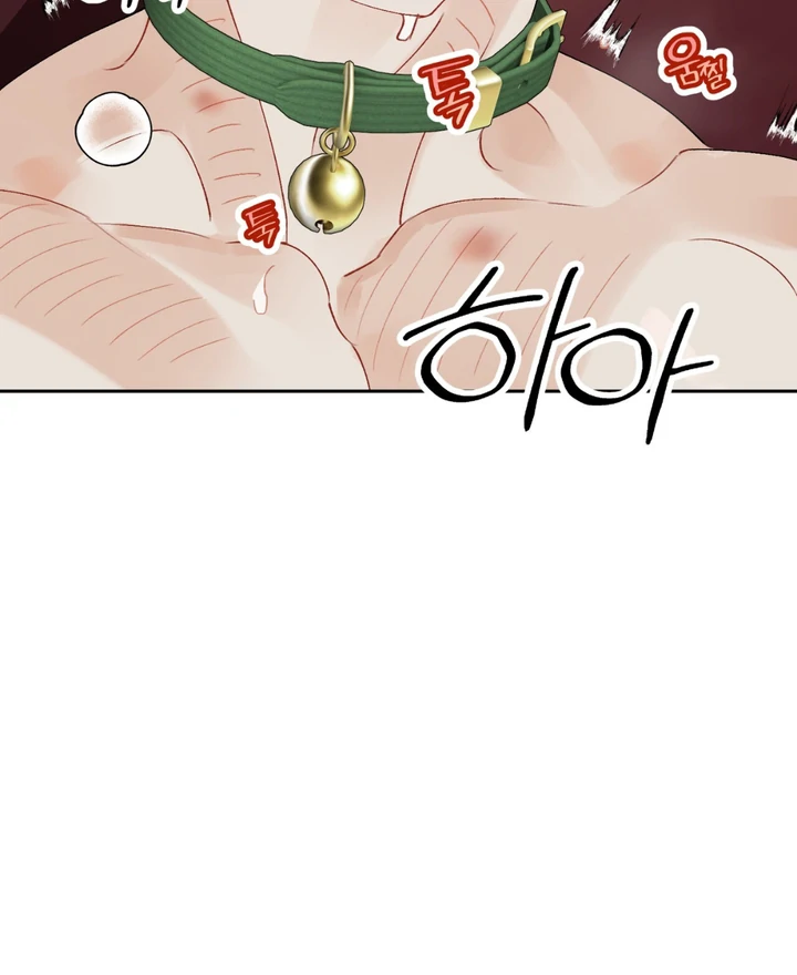 Holy and Cruel [Kaizen Scan] - Chapter 1 🔞🔞 manhwa