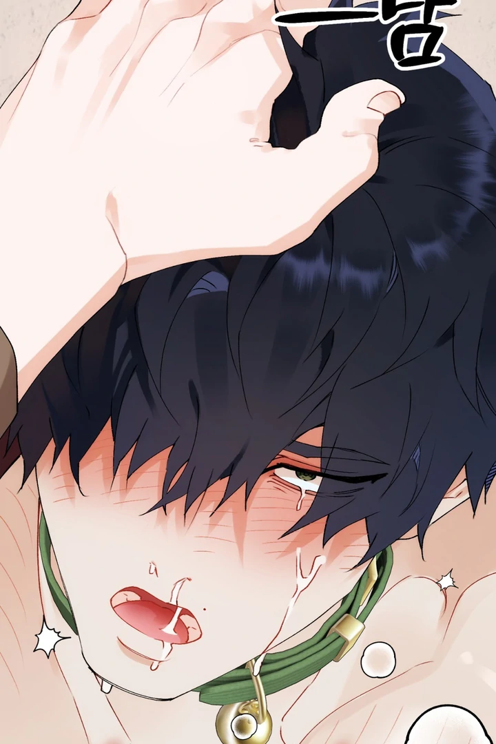 Holy and Cruel [Kaizen Scan] - Chapter 1 🔞🔞 manhwa
