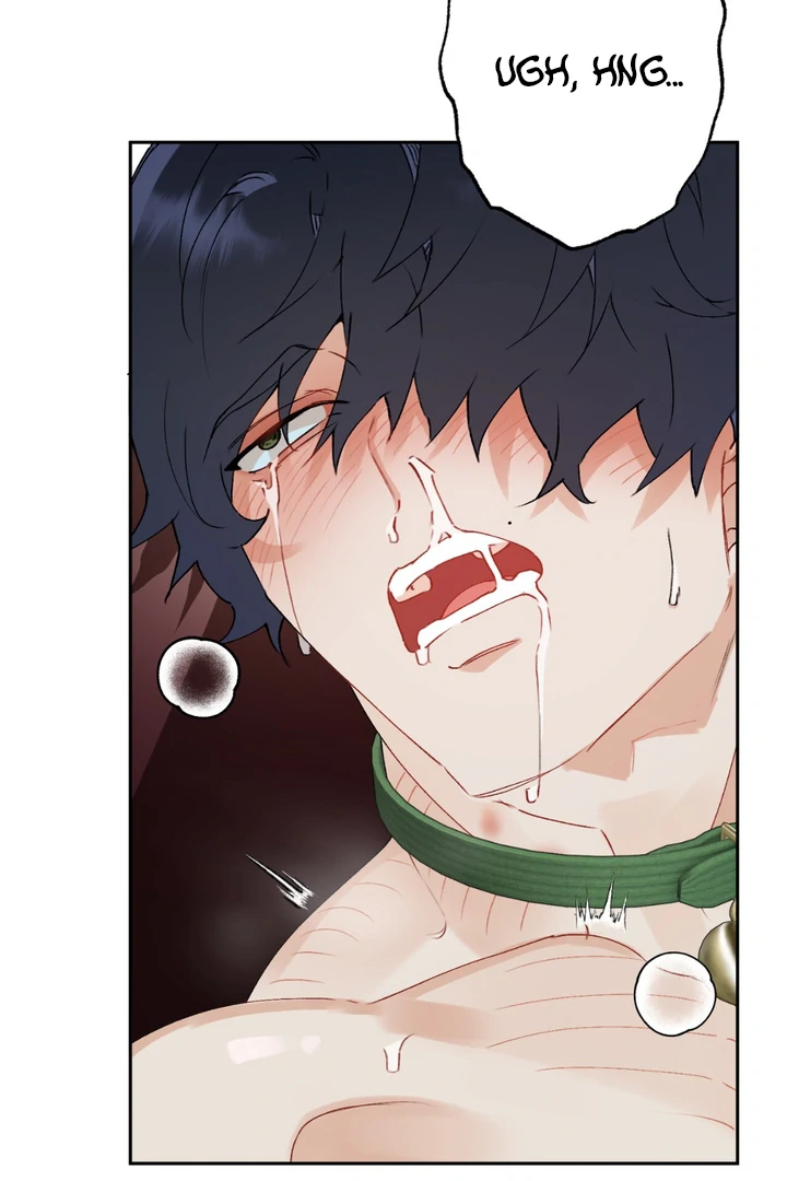 Holy and Cruel [Kaizen Scan] - Chapter 1 🔞🔞 manhwa