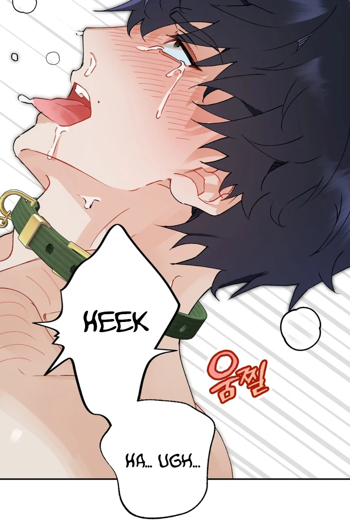 Holy and Cruel [Kaizen Scan] - Chapter 1 🔞🔞 manhwa