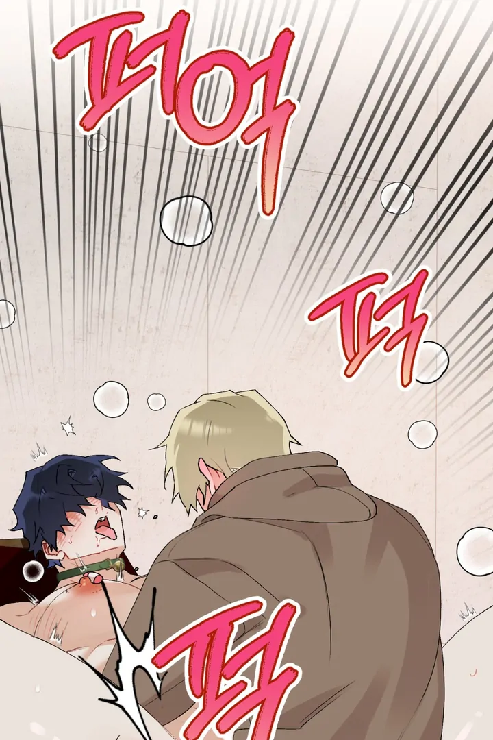 Holy and Cruel [Kaizen Scan] - Chapter 1 🔞🔞 manhwa