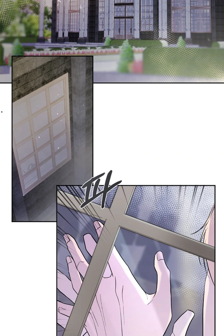 Count Owen’s Perfect Slave [Kaizen Scan] - Chapter 1 🔞🔞 manhwa