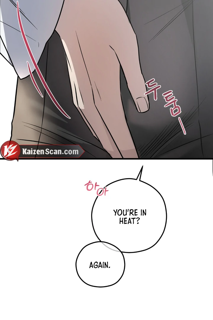 Count Owen’s Perfect Slave [Kaizen Scan] - Chapter 1 🔞🔞 manhwa
