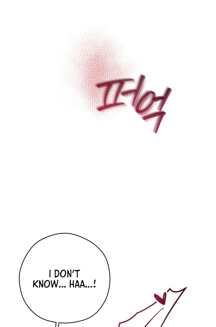 Count Owen’s Perfect Slave [Kaizen Scan] - Chapter 2 🔞🔞 manhwa
