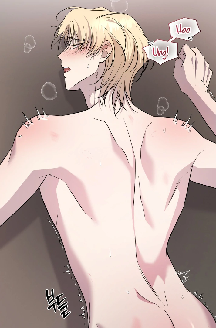 Count Owen’s Perfect Slave [Kaizen Scan] - Chapter 2 🔞🔞 manhwa