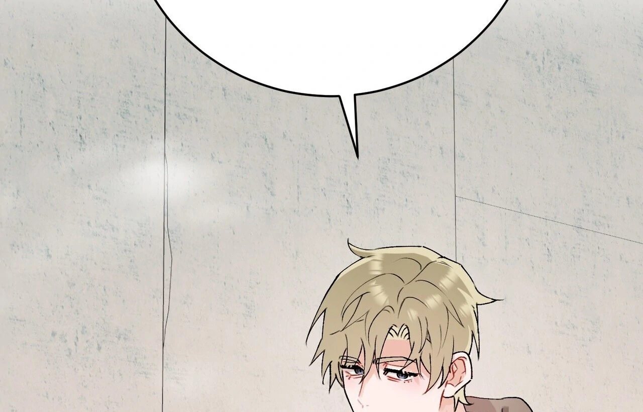 Holy and Cruel [Kaizen Scan] - Chapter 1🔞🔞🔞 manhwa