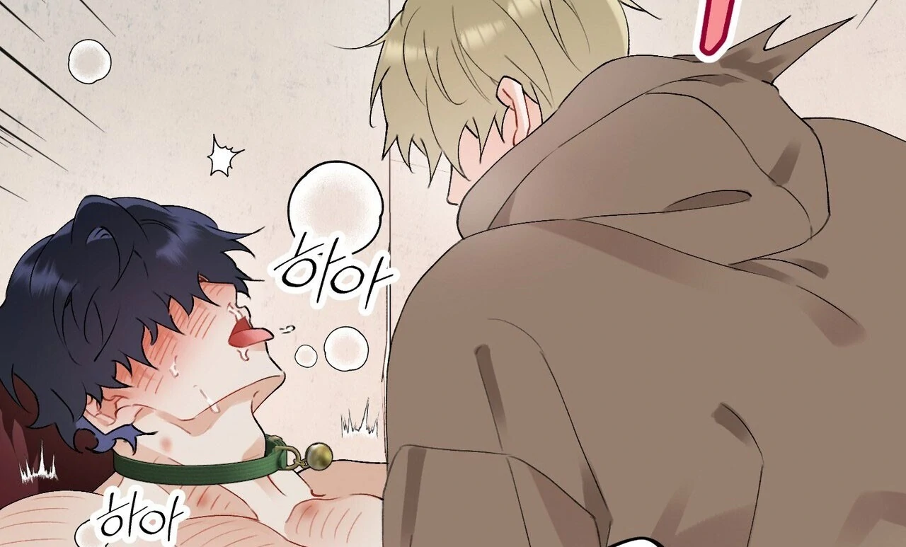 Holy and Cruel [Kaizen Scan] - Chapter 2🔞🔞🔞 manhwa