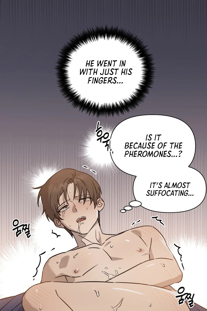 The Spring That Finally Comes [Kaizen Scan] - Chapter 1 manhwa