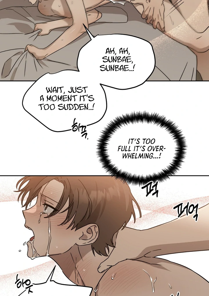 The Spring That Finally Comes [Kaizen Scan] - Chapter 1 manhwa
