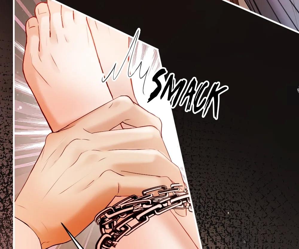 Handsome Guy Takes Over Systems [Official] - Chapter 24 manhwa