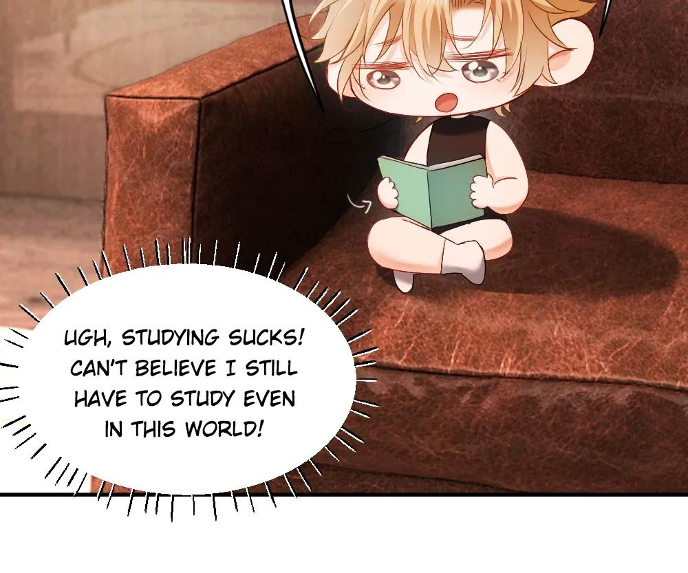 Handsome Guy Takes Over Systems [Official] - Chapter 35 manhwa