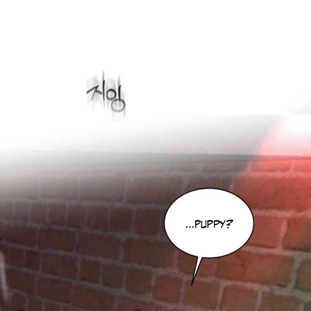 Knockout Baby - Chapter 10 manhwa