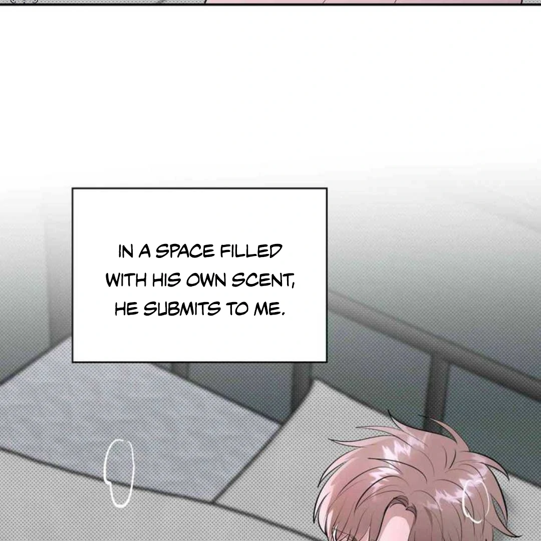 Knockout Baby - Chapter 12 manhwa