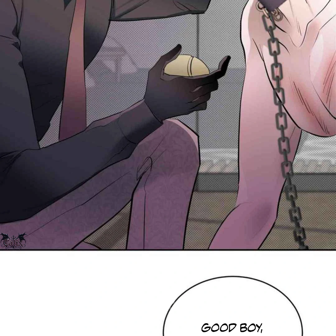 Knockout Baby - Chapter 8 manhwa