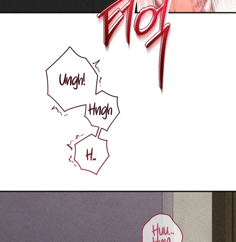 Play Room [Kaizen Scan] - Chapter 1🔞🔞🔞 manhwa