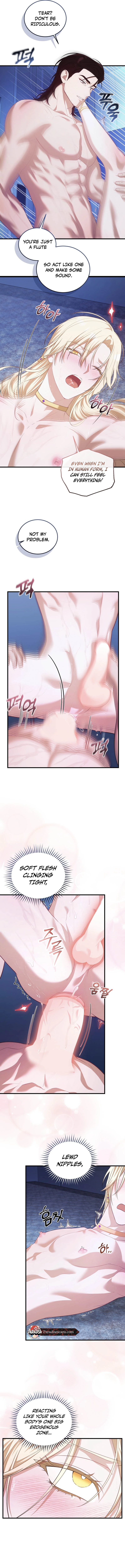 Blow, and I will submit~ || PARADISE SCANS || - Chapter 1: 🔞🔞 manhwa