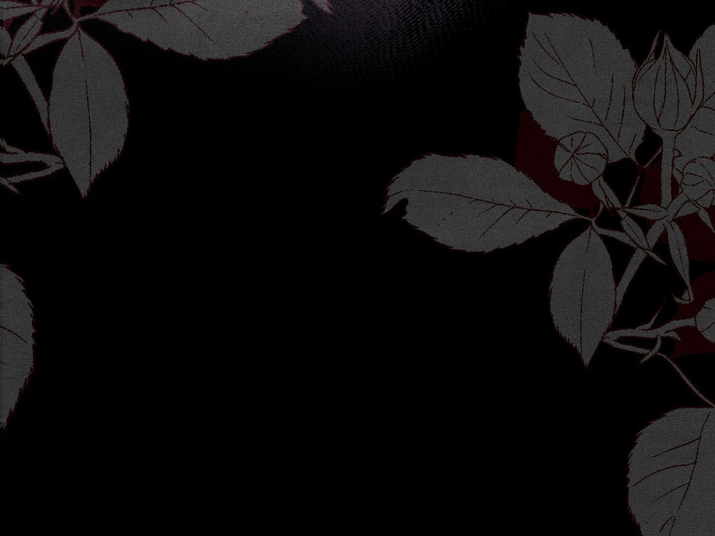 The Night of Dawn’s Light || PARADISE SCANS || - Chapter 1 manhwa