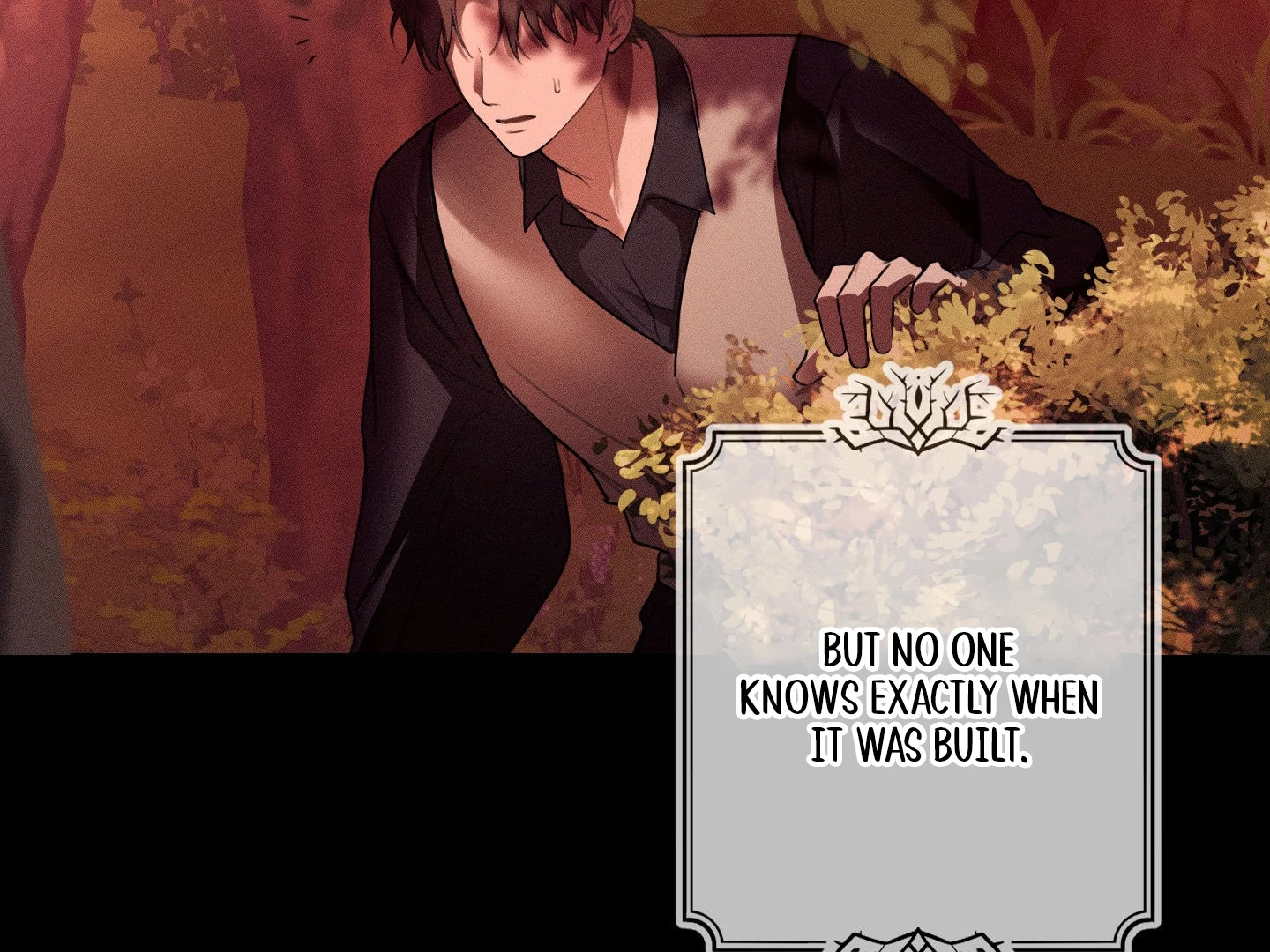 The Night of Dawn’s Light || PARADISE SCANS || - Chapter 1 manhwa