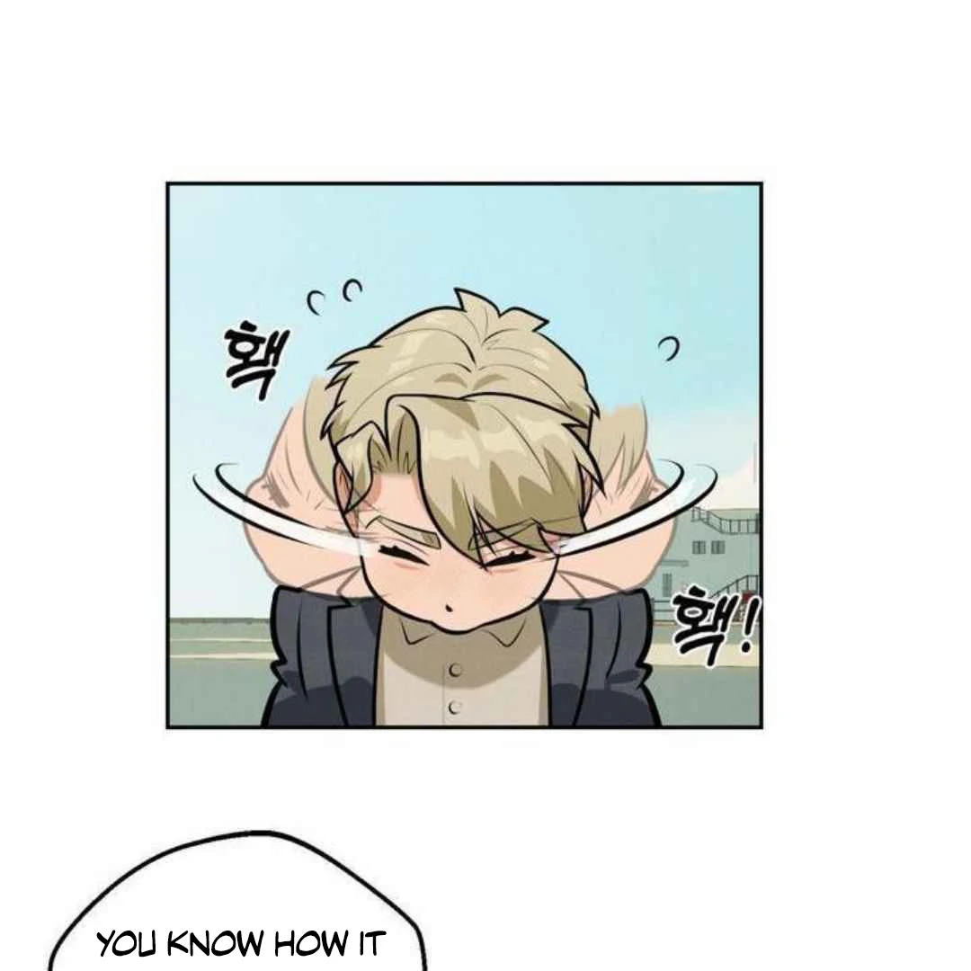 How to Prevent the Mafia’s Misfortune - Chapter 6 manhwa