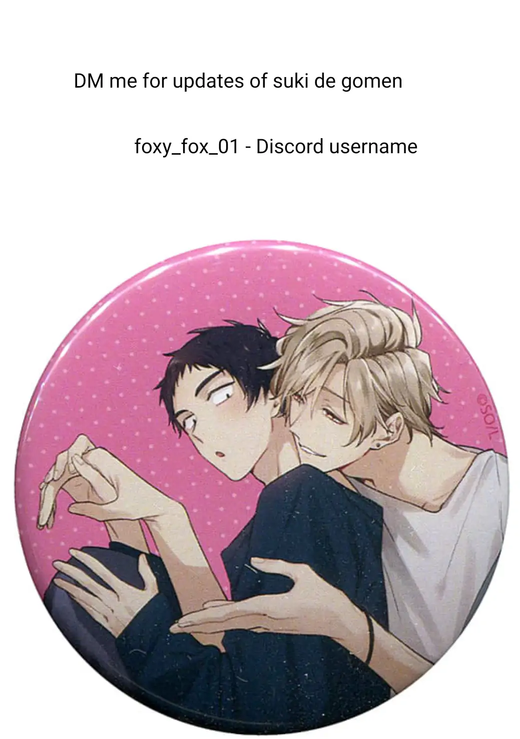 Suki de Gomen - Chapter 20.2 manhwa