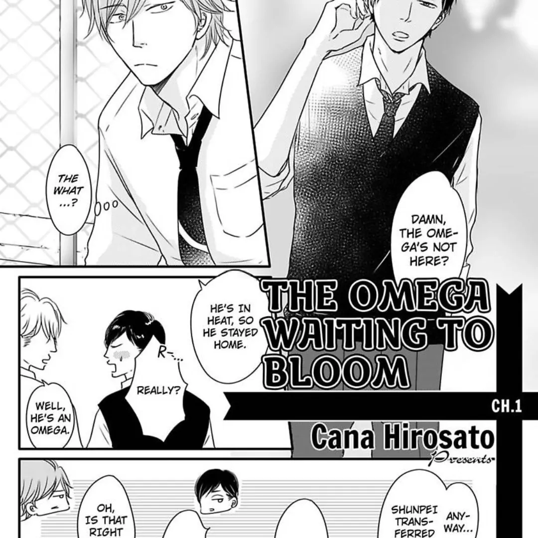 Omega Porn - Chapter 19 manhwa